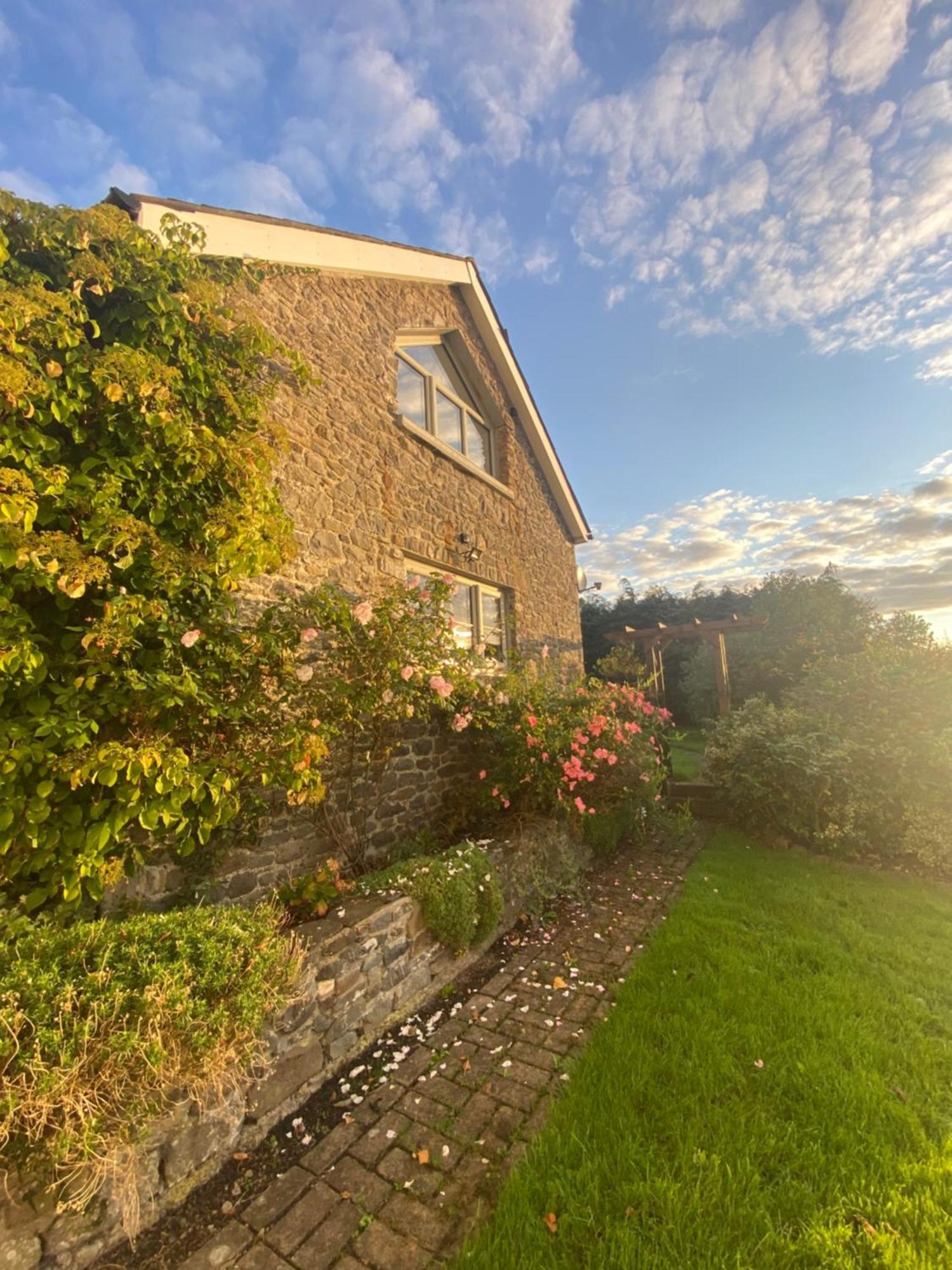 Pippin Lodge Llanwrda Екстериор снимка