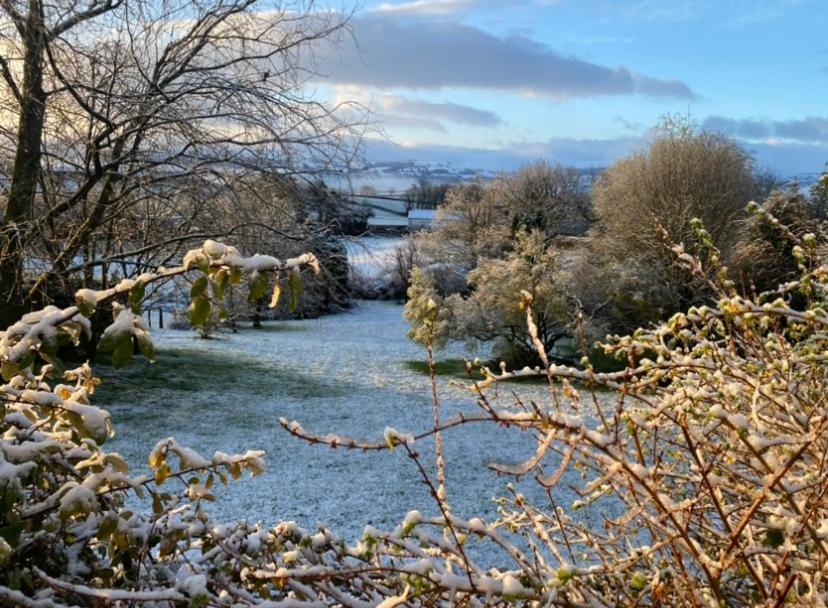 Pippin Lodge Llanwrda Екстериор снимка