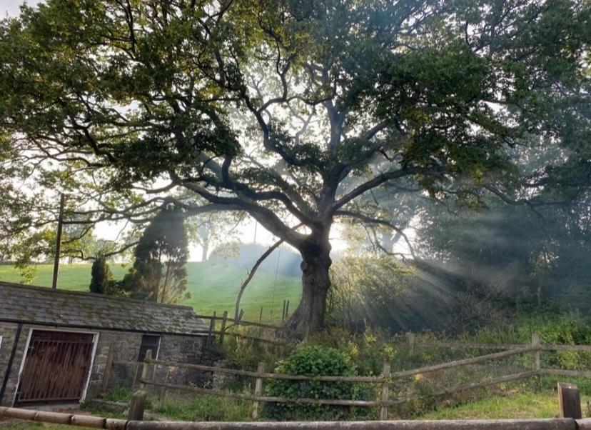 Pippin Lodge Llanwrda Екстериор снимка