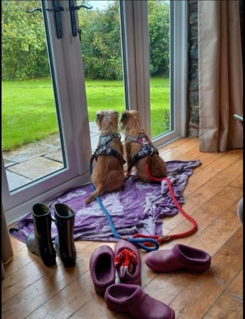 Pippin Lodge Llanwrda Екстериор снимка
